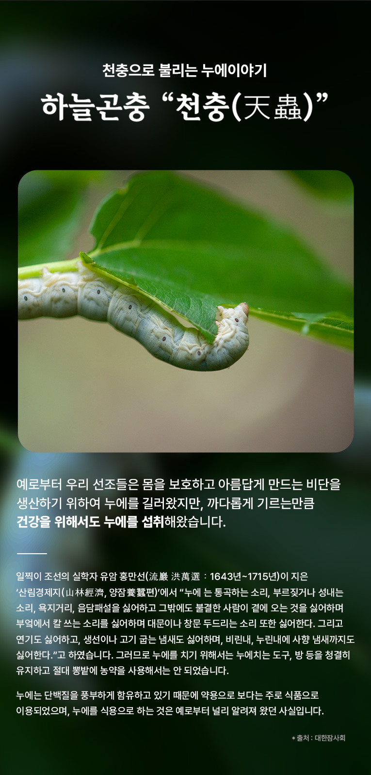 누에 이야기
