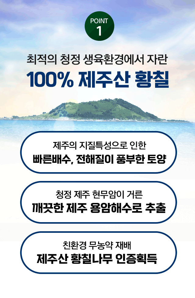 제주산 황칠 원료 안내
