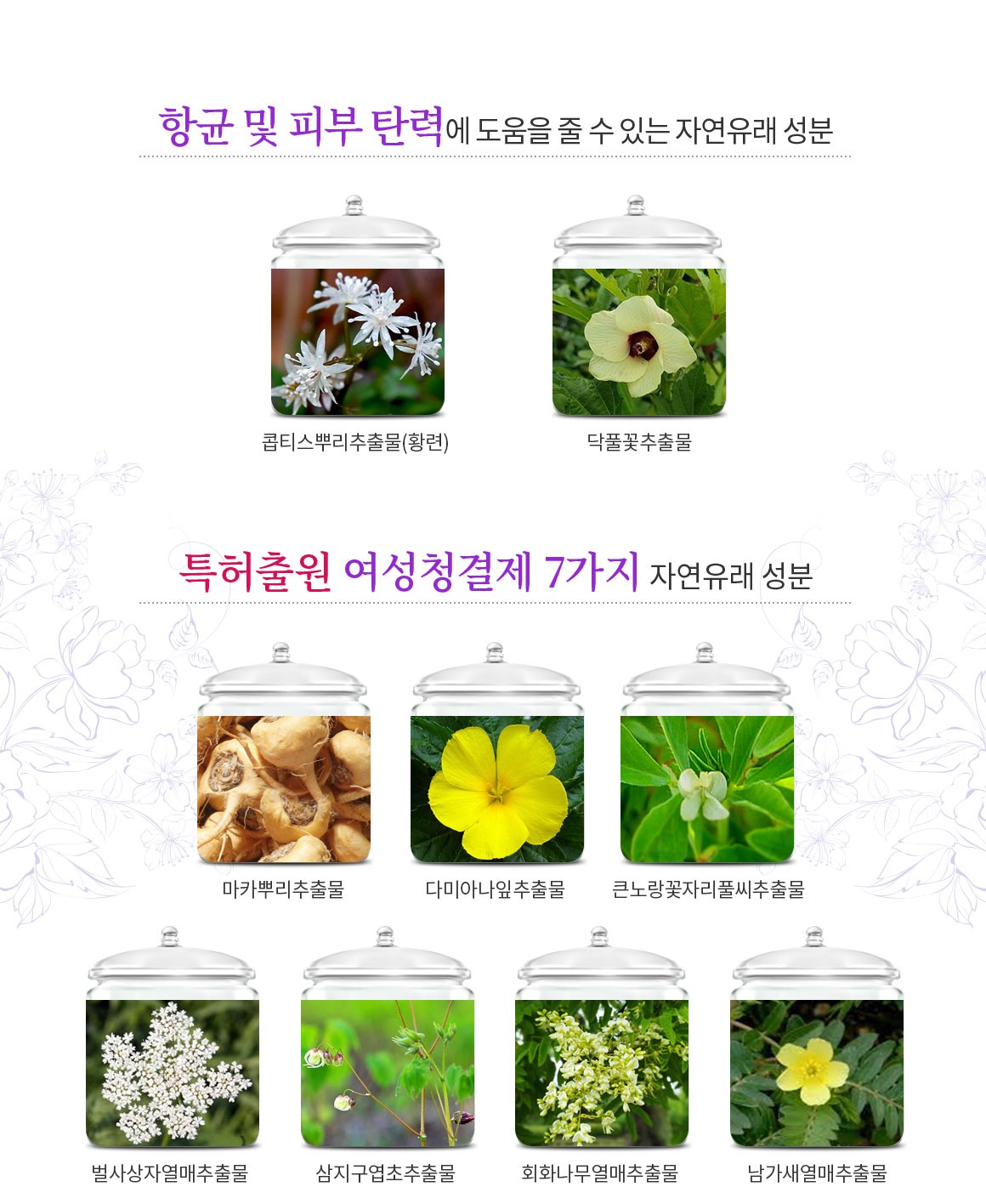 여궁골드 항균 및 피부 탄력에 도움을 줄 수 있는 자연유래 성분 콥티스뿌리추출물 황련 닥풀꽃추출물 특허출원 여성청결제 7가지 자연유래 성분 마카뿌리추출물 다미아나잎추출물 큰노랑꽃자리풀씨추출물 벌사상자열매추출물 삼지구업초추출물 회화나무열매추출물 남가새열매추출물
